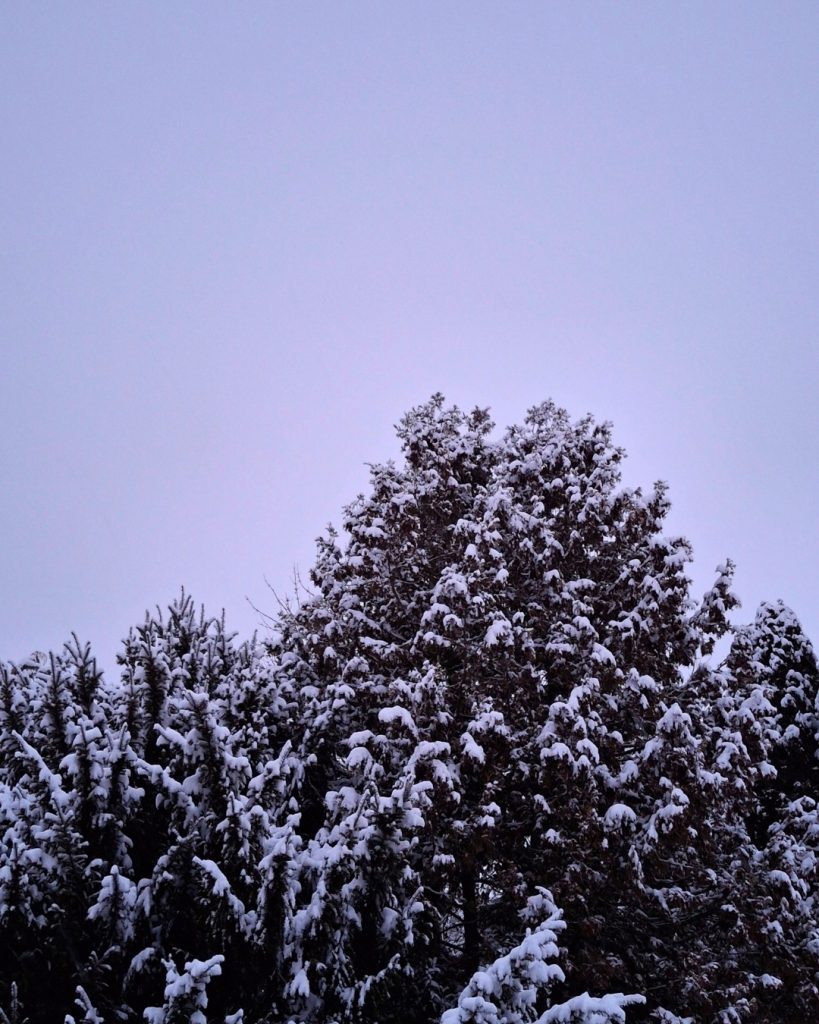 Winterzauber in unserem Garten 1 Kopie von Kopie von Kopie von Instagram Notizbuecher 2025 1080 x 1350 px Instagram Post 45 15